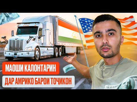 Видео: МАОШИ КАЛОНТАРИН БАРОИ ТОҶИКОН ДАР АМЕРИКА! ТРАКДРАЙВЕР - ҳақиқати ин касб