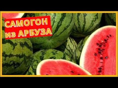 Видео: Самогон из арбуза - рецепт арбузной браги в домашних условиях
