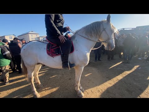 Видео: АЛА БУКА РАЙОНУ ЖЫЛКЫ БААЛАРЫ