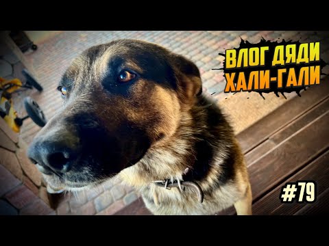 Видео: Влог Дяди «Хали-Гали» #79