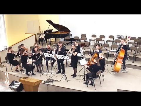 Видео: дуэт для двух скрипок с оркестром