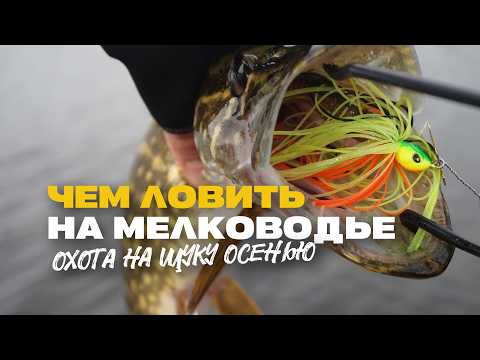 Видео: Спиннинг на Болоте на Что Ловить Щуку Осенью на Мелководье Недо Джерки Силикон и Чаттербейты