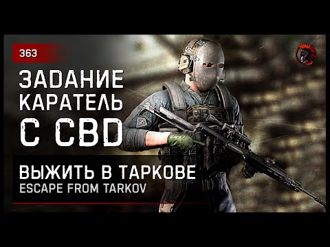 Видео: ЗАДАНИЕ "КАРАТЕЛЬ" С СВД • Escape from Tarkov №363