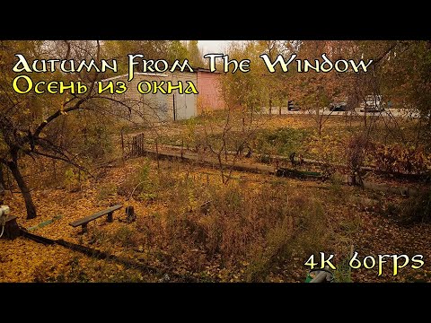 Видео: Autumn from the window [Осень из окна]