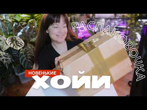 Видео: РАСПАКОВКА: новенькие ХОЙИ и немного про уход