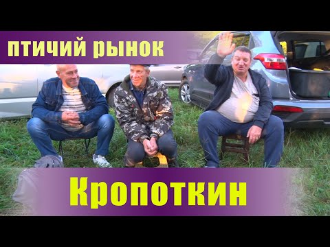 Видео: Птичий рынок. Кропоткин. Часть 2. [25.09.2022]