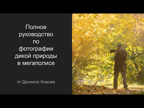 Видео: Полное руководство по фотографии дикой природы в мегаполисе