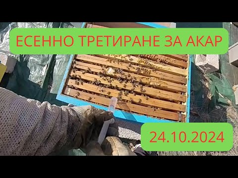 Видео: Есенно Третиране с оксалова киселина 24.10.24