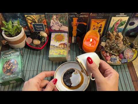 Видео: Чашка дня‼️