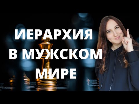 Видео: Иерархия в мужском мире . Альфа самец.