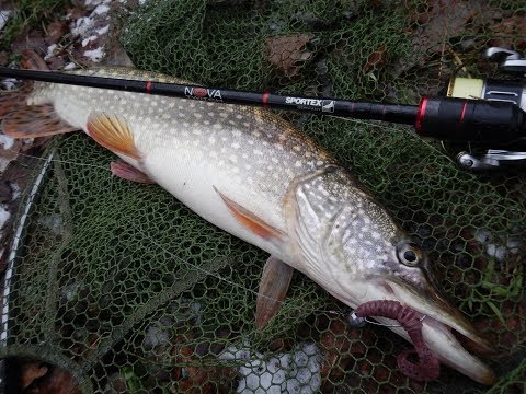 Видео: Как ловить щуку в корягах? Джигуем твичевым спиннингом. Тестируем спиннинг Sportex Nova Twitch