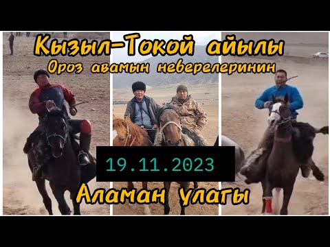 Видео: Кызыл-Токой айылы Ороз авамын неберелеринин аламан улагы 19.11.2023. 3-бөлүм