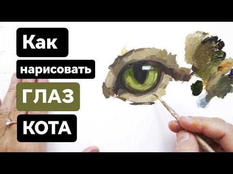 Видео: КАК НАРИСОВАТЬ ГЛАЗ КОТА. Полный мастер класс для начинающих художников