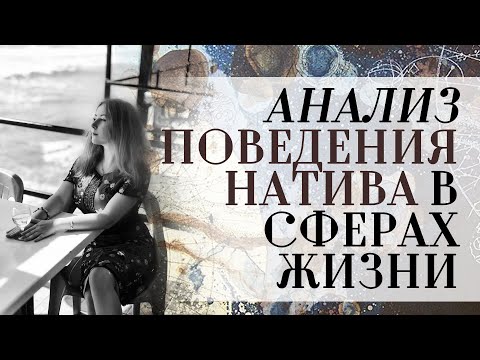 Видео: Вспомогательный метод анализа отношения/поведения натива в сферах