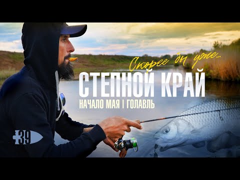Видео: Степной край | Начало мая | Голавль