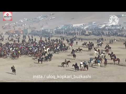 Видео: Бузкаши ш.Конибодом 06.01.2024с