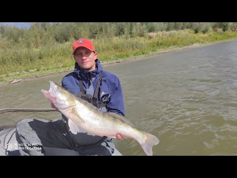 Видео: ПОДСАК В ХЛАМ ЩУКА10+🎣ТРОФЕЙНАЯ РЫБАЛКА😎ИРТЫШ "СИБИРЬ"