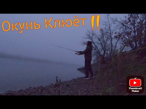 Видео: Рыбалка за час до работы) Окунь клюёт!!