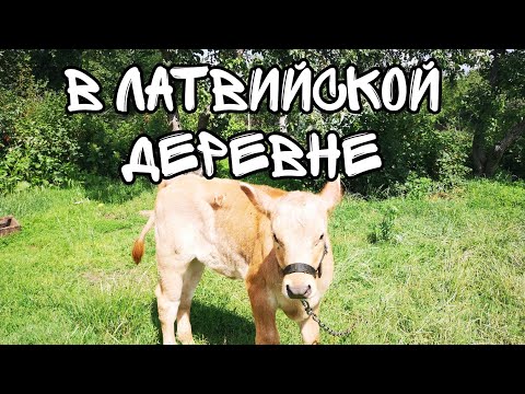 Видео: Снова в деревню. Латвия. Добельский край. Ферма