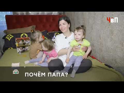 Видео: «А ПАПА КТО?»