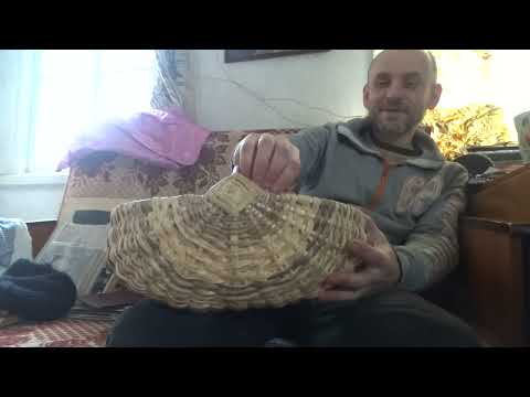 Видео: Корневушка - заканчиваю.