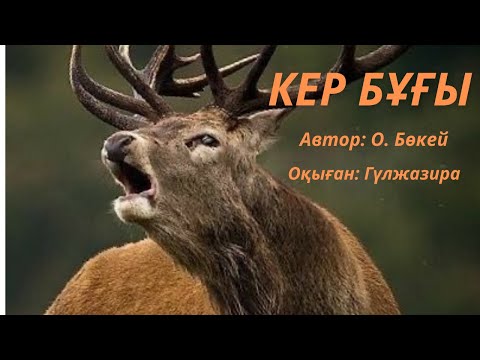 Видео: Кербұғы