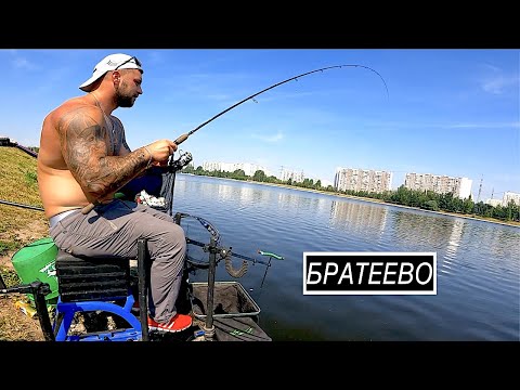 Видео: Рыбалка в Братеево!ФИдер на Москва реке #ловлялеща #москварека #братеево