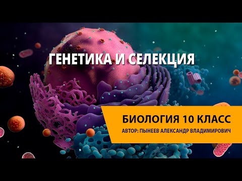 Видео: Генетика и селекция