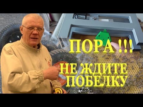 Видео: Техника в пчеловодстве, трутни, болезни пчел