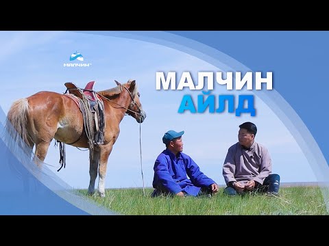 Видео: [ Малчин айлд ] нэвтрүүлэг #4 ᠌᠌ Дорнод аймгийн Халхгол сумын малчин Ш.Дашдорж