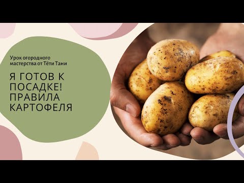Видео: Я готов к посадке! КАРТОФЕЛЬ.