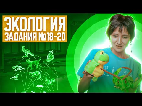 Видео: Экология | Сборник Рохлова | Задания 18, 19, 20 | ЕГЭ-2025 по биологии