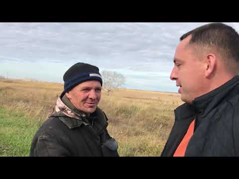 Видео: Кыштовские сельские  обширные поля, ждут фермеров) Усть-Тарский и Венгеровский обзор.