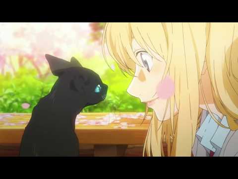 Видео: AMV MIX - 14+ - Черной кошки нет опасней