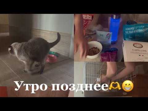 Видео: Наше позднее доброе утро ☀️ 