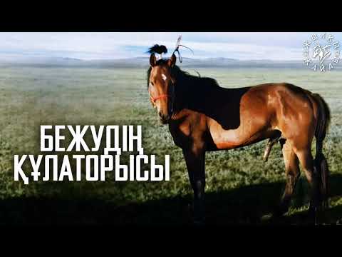 Видео: ҚҰЛАТОРЫНЫҢ ТАҒДЫРЫ❗