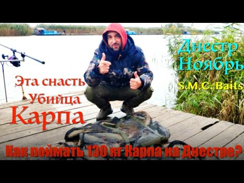 Видео: Рыбалка на Днестре.Ловля Карпа Осенью.Демидовские Домики.