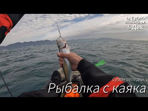 Видео: Тестовый выход или открытие сезона селёдки 2024.