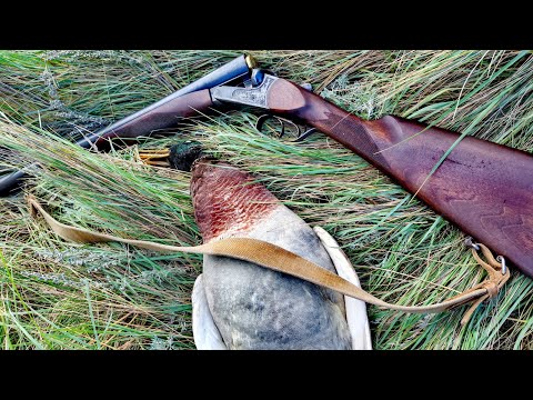 Видео: Охота в Сибири осенью. Настрелял уток и лысух. Охота с двустволкой. #охотанаутку #dkhunter