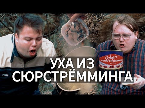 Видео: Уха из СЮРСТРЁММИНГА