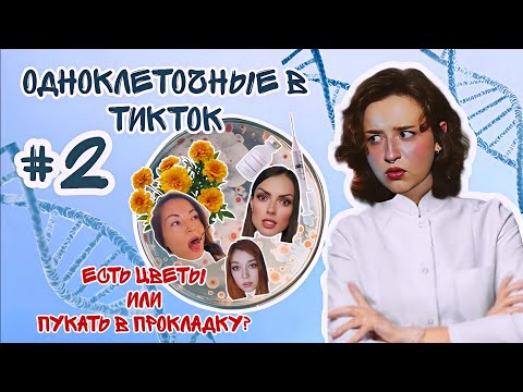 Видео: ОДНОКЛЕТОЧНЫЕ В ТИК-ТОК #2 | ЕСТЬ ЦВЕТЫ ИЛИ ПУКАТЬ В ПРОКЛАДКУ?