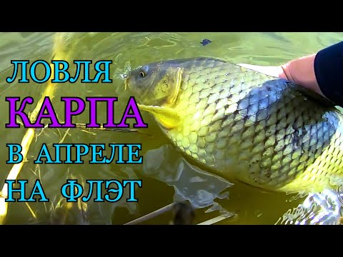 Видео: ЛОВЛЯ КАРПА НА ФЛЭТ-ФИДЕР Flat Method Feeder, РЫБАЛКА веснои