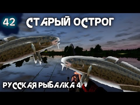 Видео: Русская рыбалка 4 - Старый Острог. Уловистые Налимы ! [#42]