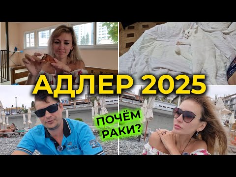 Видео: Носимся с раками по АДЛЕРУ 🌊🦀 Ветрище на курорте 🌪 Сколько стоит ДЕЛИКАТЕС 😋