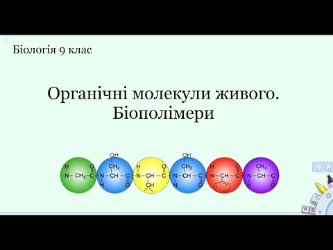 Видео: Біологія 9 клас. Органічні молекули живого. Біополімери