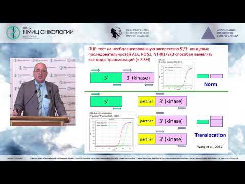 Видео: Настоящее и будущее молекулярно-генетических исследований (Имянитов Е.Н.)