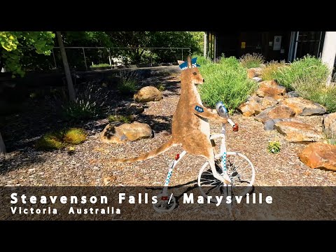 Видео: Marysville: Водопад Steavenson Falls и скульптурный парк Бруно — Природно-художественное вдохновение