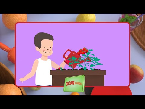 Видео: ☀️С добрым утром, малыши! Правильное питание и витамины - ЗОЖкины