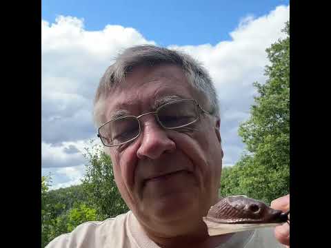 Видео: Испанские слизни атакуют!