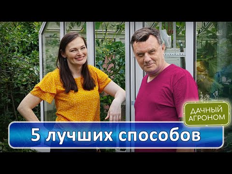 Видео: Увидели ТАКОЕ? СРОЧНО обработайте! УРОЖАЙ как у профессионалов